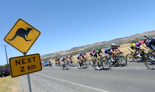 Voorbeschouwing: Santos Tour Down Under 2015