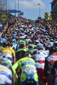 Volg hier de Scheldeprijs 2015