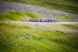 Volg hier de ploegentijdrit in de Vuelta a Burgos 2015