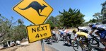 Voorbeschouwing: Cadel Evans Great Ocean Road Race 2016