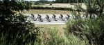 Volg hier de eerste etappe in de Tour of Utah 2016