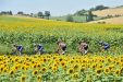 Tour 2017: vooruitblik op het parcours van de 104de Tour de France