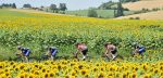 Volg hier de Bretagne Classic-Ouest-France 2016