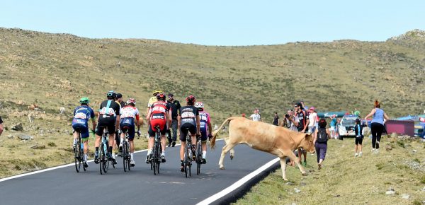 Vuelta 2016: De uitvallers