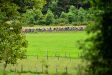Volg hier de slotrit in de Ronde van Kroatië 2018