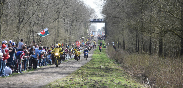Gras tussen kasseien Bos van Wallers baart zorgen