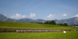 WK 2018: Deelnemerslijst per WorldTour-ploeg