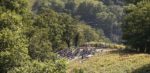 Circuito de Getxo verwelkomt minstens 5 WorldTour-teams