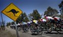 Volg hier de openingsetappe van de Tour Down Under 2019