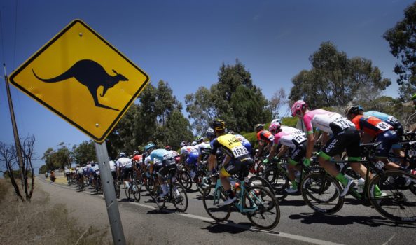 Volg hier de openingsetappe van de Tour Down Under 2019