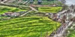 Voorbeschouwing: Strade Bianche 2019