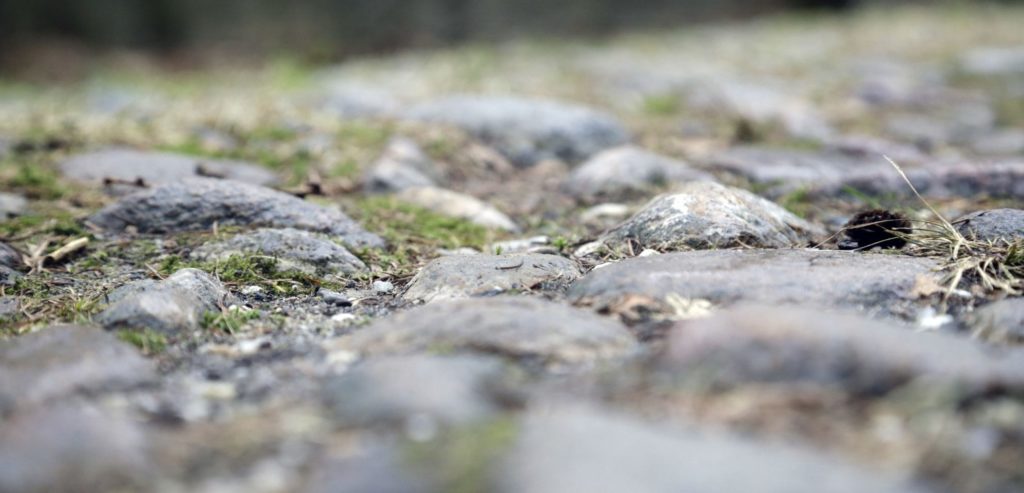 Volg hier de Ronde van Drenthe 2019