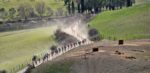 RTBF meent groot deel van nieuwe kalender te kennen: Strade Bianche en Milaan-San Remo op 1 en 8 augustus