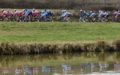 Volg hier de GP Cholet-Pays de Loire 2019