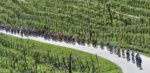 Aanvaller Colnaghi houdt Meeus van ritzege in Giro voor beloften