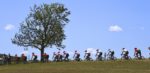 Grand Prix du Morbihan en Classique Morbihan verhuizen naar oktober