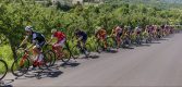 Sergio Meris wint zware vierde etappe Giro Valle d’Aosta, Darren Rafferty nieuwe leider