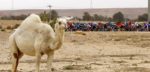 Koninginnenrit Saudi Tour finisht op steile klim naar Skyviews of Harrat Uwayrid