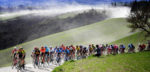 Acht Nederlanders in Strade Bianche