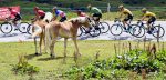 Volg hier de vierde etappe van het Critérium du Dauphiné 2020