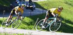 Jumbo-Visma: “Roglic heeft door de pijn heen gebeten”
