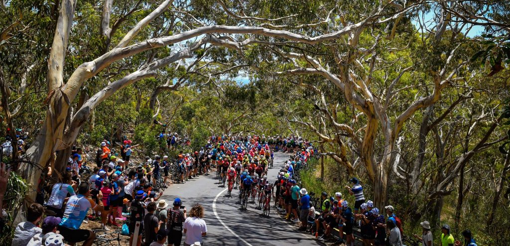 Volg hier de eerste etappe van het Santos Festival of Cycling 2022