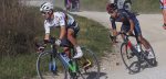 Julian Alaphilippe op waarde geklopt: “Van der Poel was de sterkste”