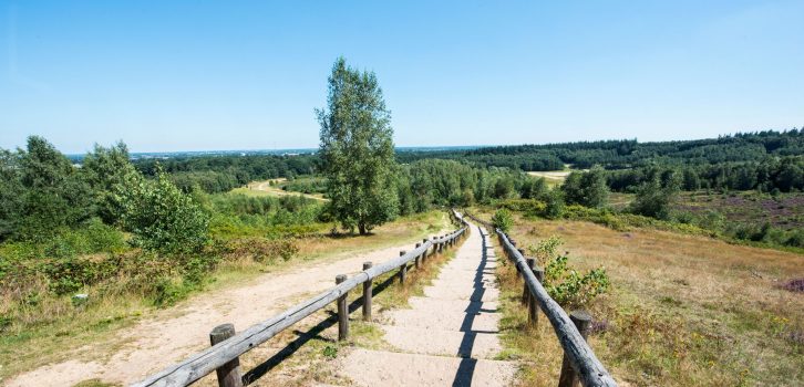 Klimmen op de Utrechtse Heuvelrug