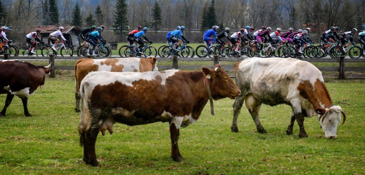 Volg hier de derde etappe van de Tour of the Alps 2021