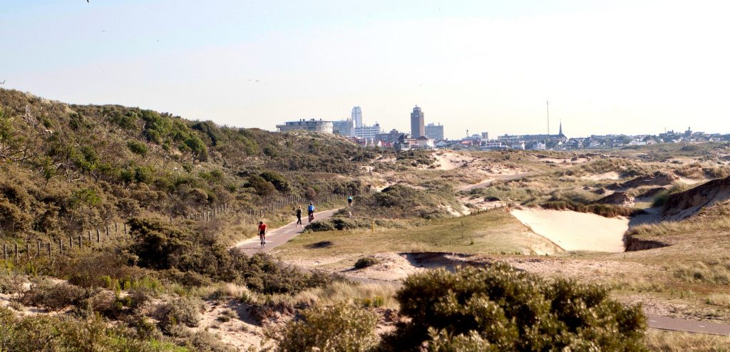 De Amsterdamse Waterleidingduinen en Zuid-Kennemerland: een oase van rust in de Randstad