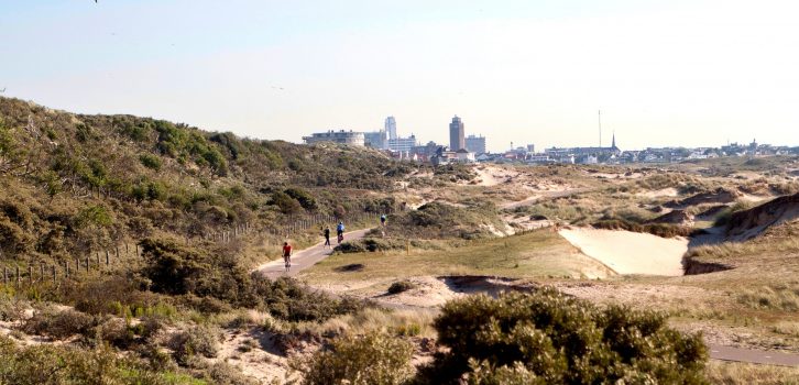 De Amsterdamse Waterleidingduinen en Zuid-Kennemerland: een oase van rust in de Randstad