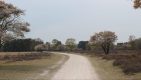 Een kennismaking met gravelfietsen op de Gooise Heide