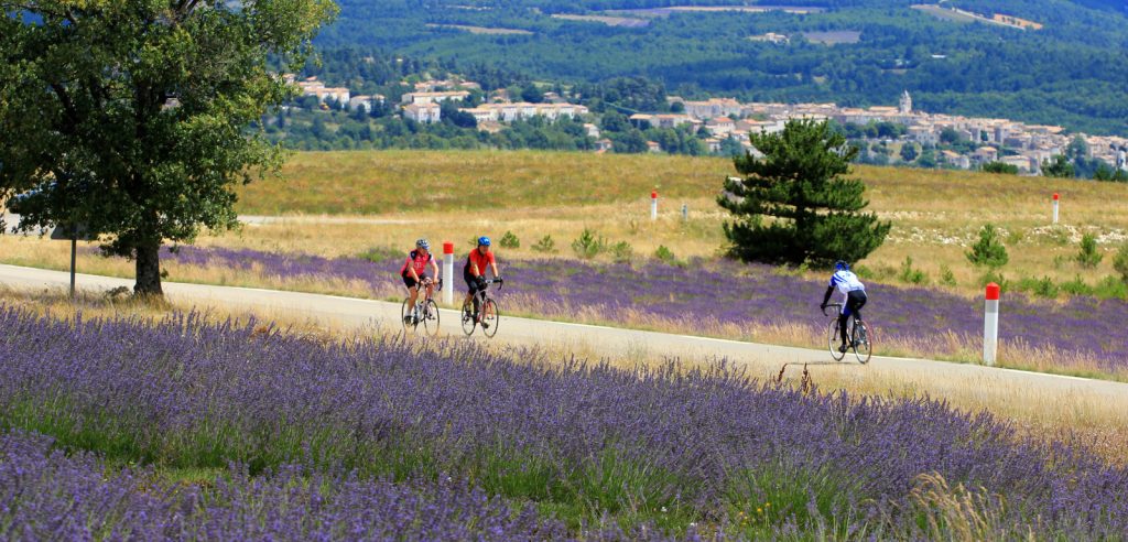 Fietstoerisme in de Vaucluse: Veel meer dan alleen de Mont-Ventoux