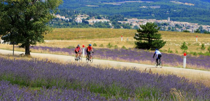 Fietstoerisme in de Vaucluse: Veel meer dan alleen de Mont-Ventoux