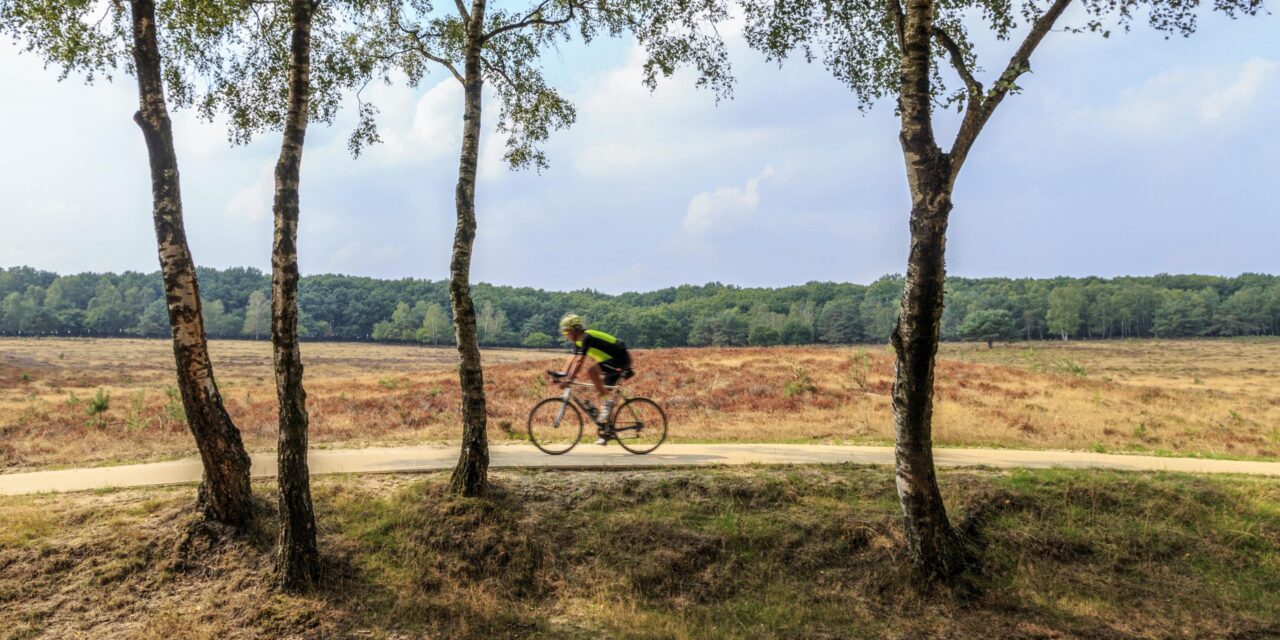 Dit zijn de mooiste fietsroutes om in de herfst te fietsen volgens de ANWB