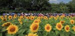 Tour 2021: Voorbeschouwing Pyreneeënetappe naar Andorra la Vella