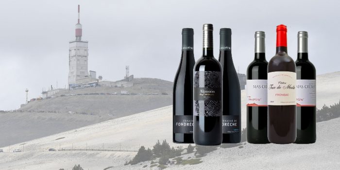‘Op de Mont Ventoux wordt nu ook een topwijn gemaakt’