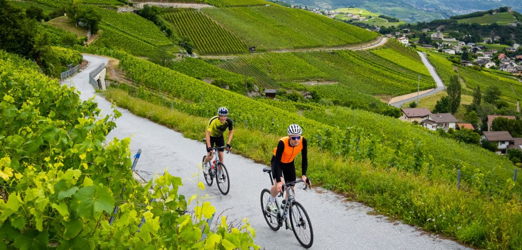 Crans-Montana : Wijnranken en schitterende vergezichten