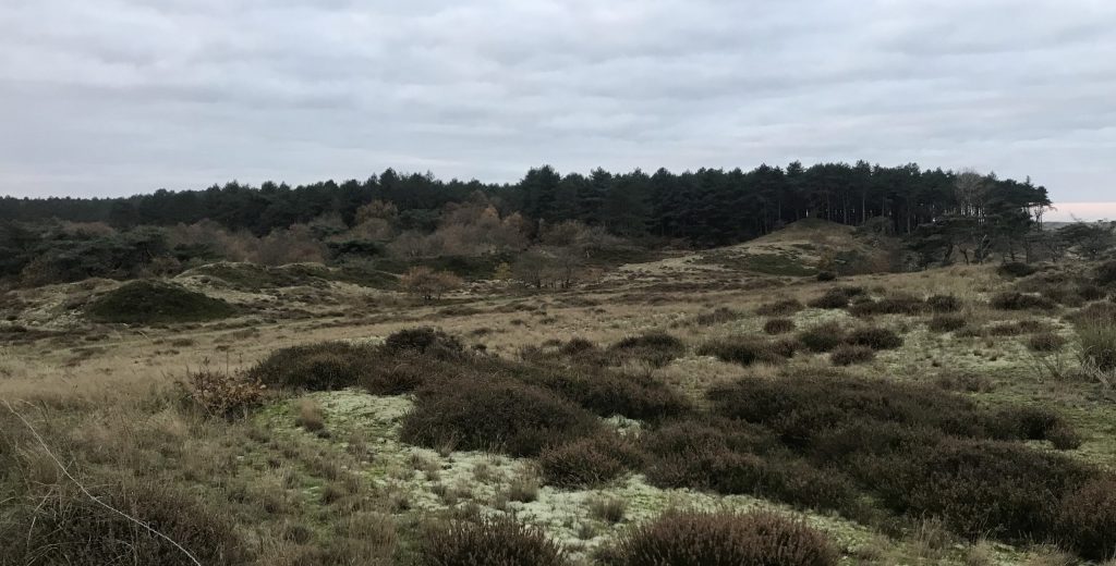 Over het strand en door de duinen: de NH100 van Terpstra en Ten Dam