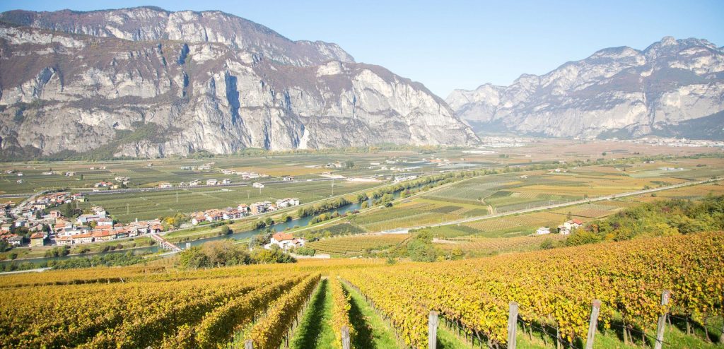 Op rondreis door Italië: een culinaire voorbeschouwing op de slotweek van de Giro