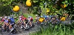 Volg hier de vierde etappe van de Volta ao Algarve 2022