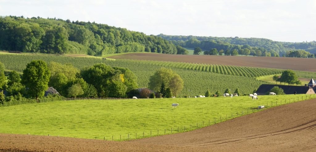 Populairste Nederlandse beklimmingen liggen in Zuid-Limburg