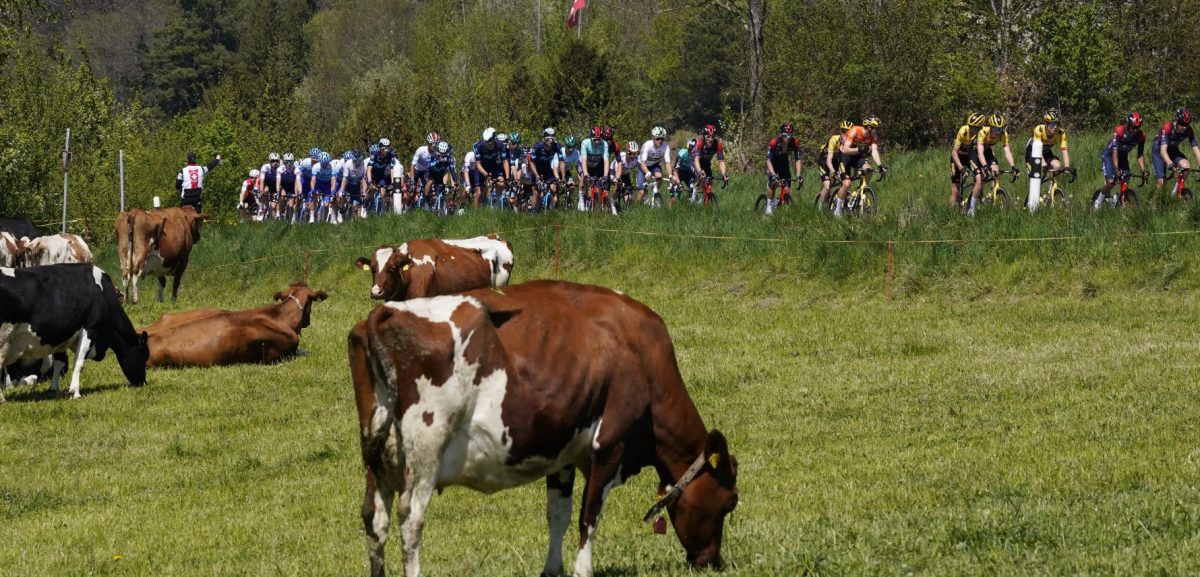 Volg hier de derde etappe van de Ronde van Romandië 2022