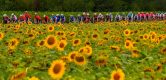 Volg hier de openingsrit van de Adriatica Ionica Race 2022