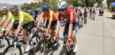 Stunt van formaat in Italië: Clubrenner Filippo Conca verslaat Alessandro Covi vanuit kopgroep