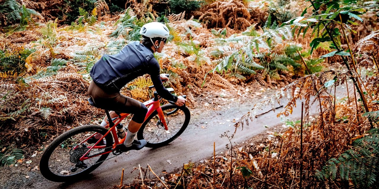 Waar voor je geld: MTB-vignet Utrechtse Heuvelrug geldig op 10 routes