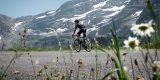 Vaud is een onontdekte parel in de Zwitserse Alpen