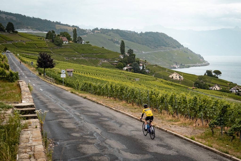 De Tour de France in vijf wijnen
