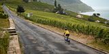 De Tour de France in vijf wijnen