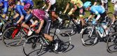 Italiaanse Corratec-ploeg vraagt ProTeam-licentie aan